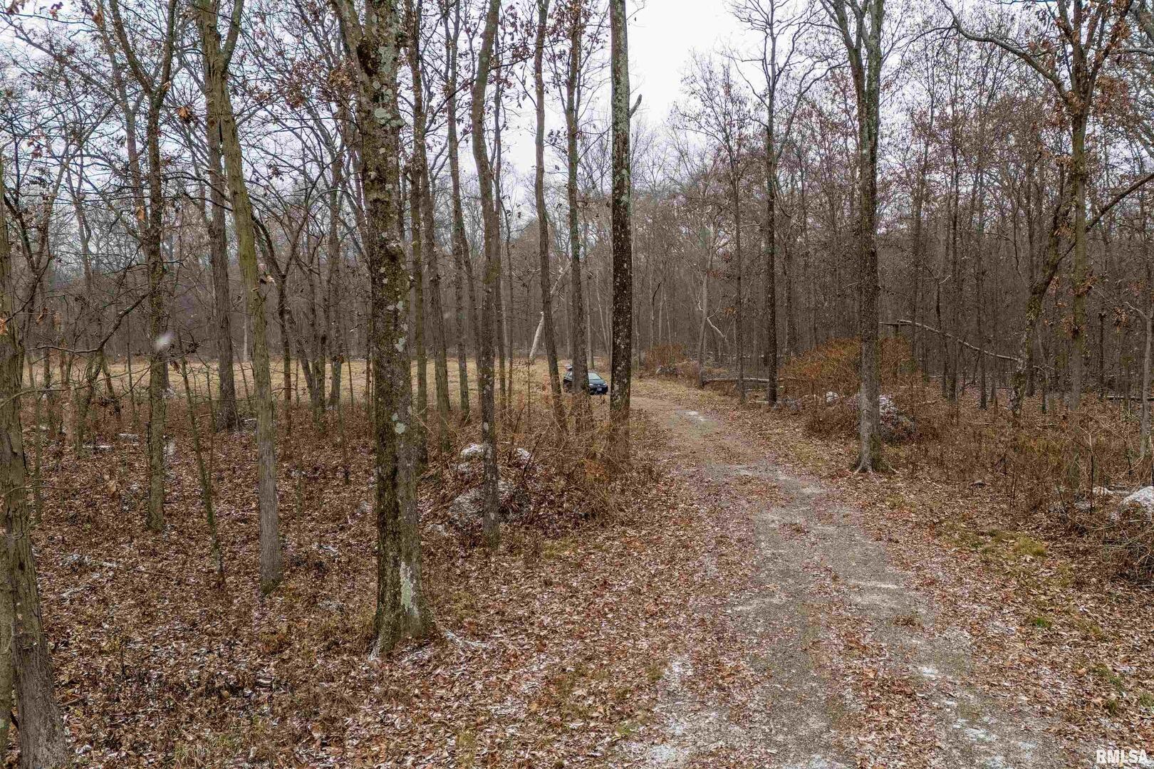 0 North Sparrow Lane Mount Vernon, IL 62864 - Photo 10 of 26 a view of outdoor space with lots of trees
