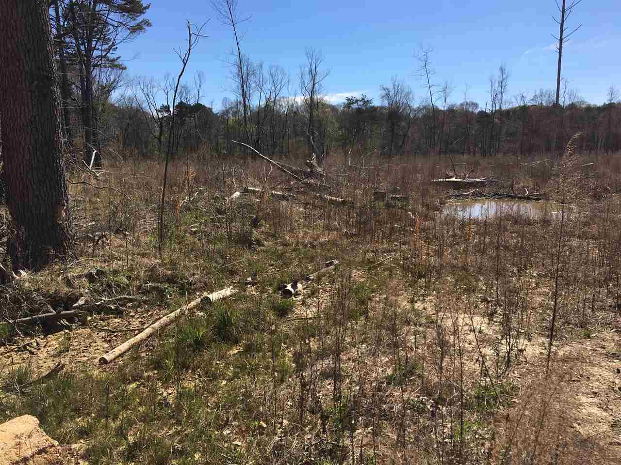 0 Mccurdy Road Morton, MS 39117 - Photo 1 of 3 Photo 1