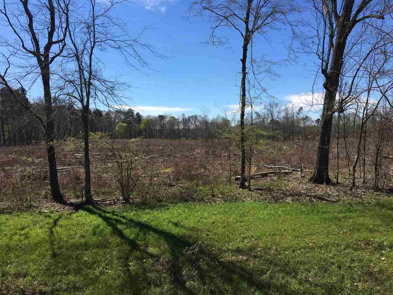 0 Mccurdy Road Morton, MS 39117 - Photo 3 of 3 Photo 3