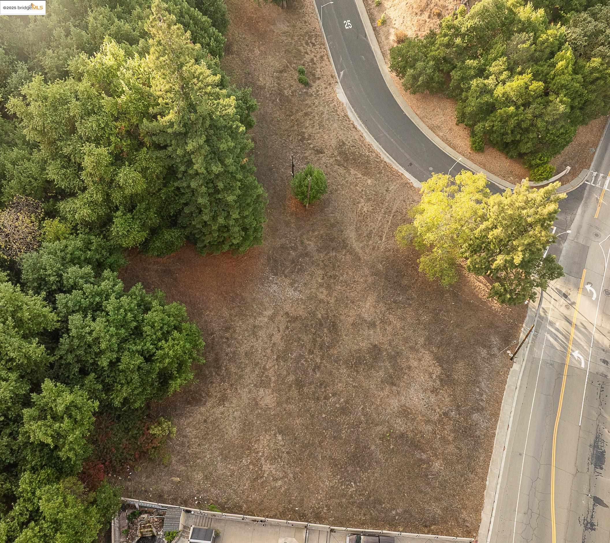 3300 Pinole Valley Road Pinole, CA 94564 - Photo 5 of 13 a picture of a yard