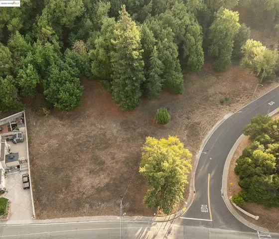 a view of a garden with a fountain