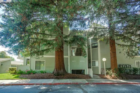 front view of a house