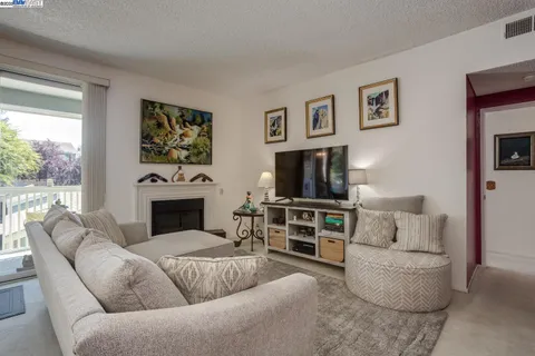 a living room with furniture a flat screen tv and a fireplace