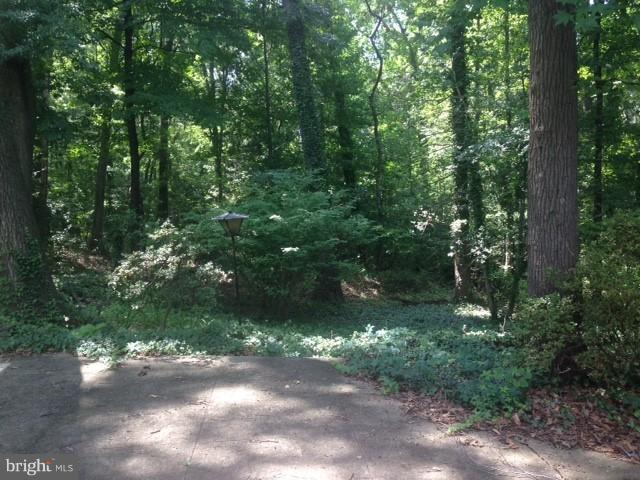 6 Ridge Road, Unit Q Greenbelt, MD 20770 - Photo 16 of 30 Secluded. Serense Setting.