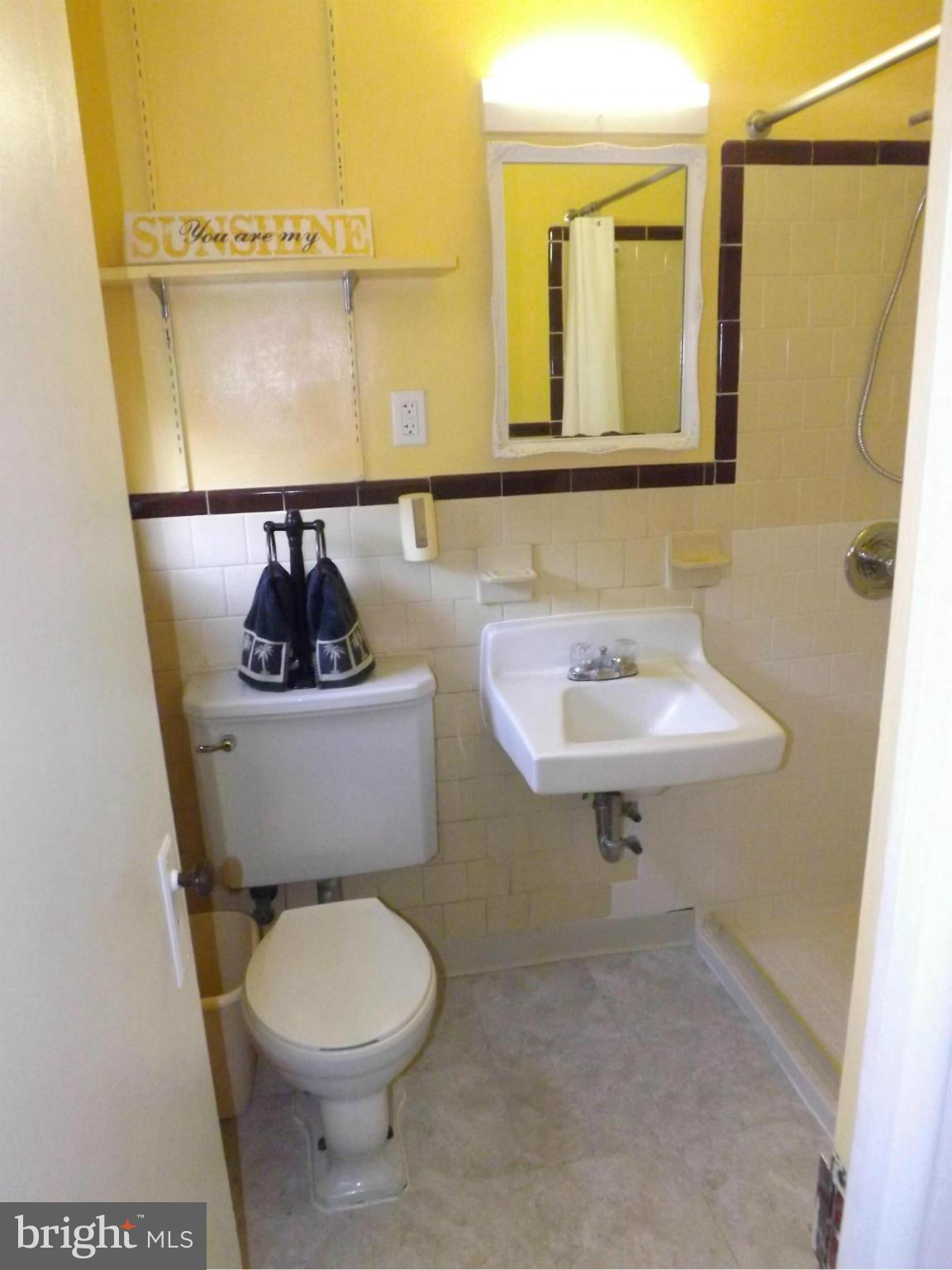 6 Ridge Road, Unit Q Greenbelt, MD 20770 - Photo 23 of 30 Bathroom