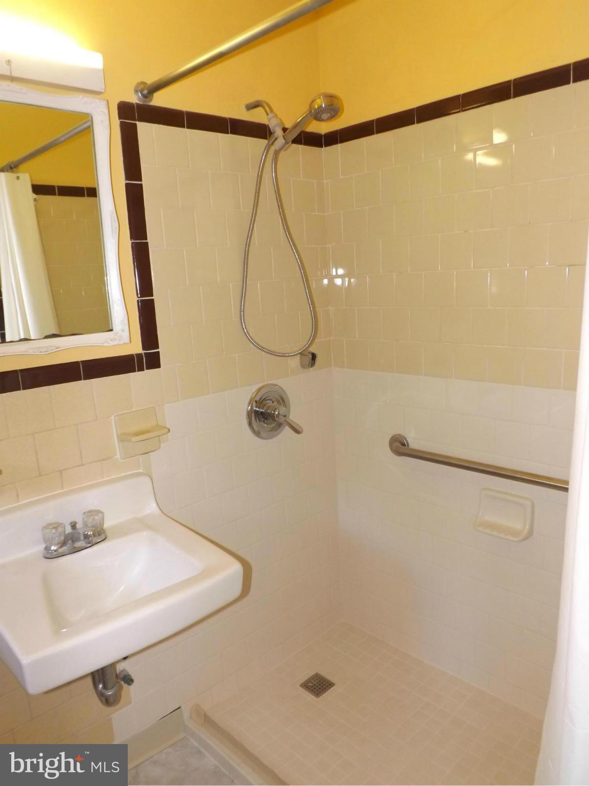 6 Ridge Road, Unit Q Greenbelt, MD 20770 - Photo 24 of 30 Bathroom with Large Shower Conversion