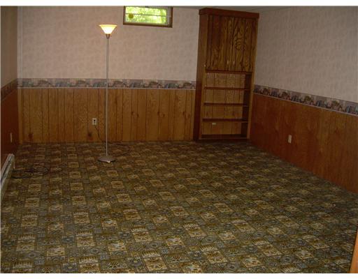 3360 Eastbrook Volant Road Volant, PA 16156 - Photo 14 of 17 Den/Family/Great Room. Basement family room.