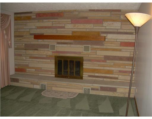 3360 Eastbrook Volant Road Volant, PA 16156 - Photo 6 of 17 Living Room. Log burning fireplace in living room.