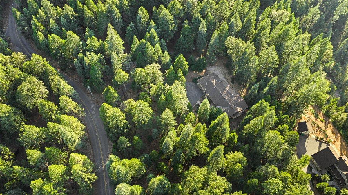 19975 Scotts Flat Road Nevada City, CA 95959 - Photo 55 of 55