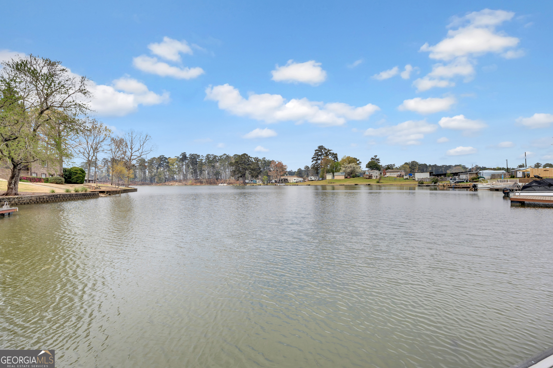 8900 Jackson Lake Road Monticello, GA 31064 - Photo 60 of 72 a view of a lake with houses