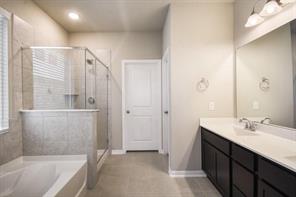 817 Paper Daisy Path Leander, TX 78641 - Photo 8 of 12 Indulge in a tranquil primary bathroom featuring a spacious walk-in shower and a double vanity.