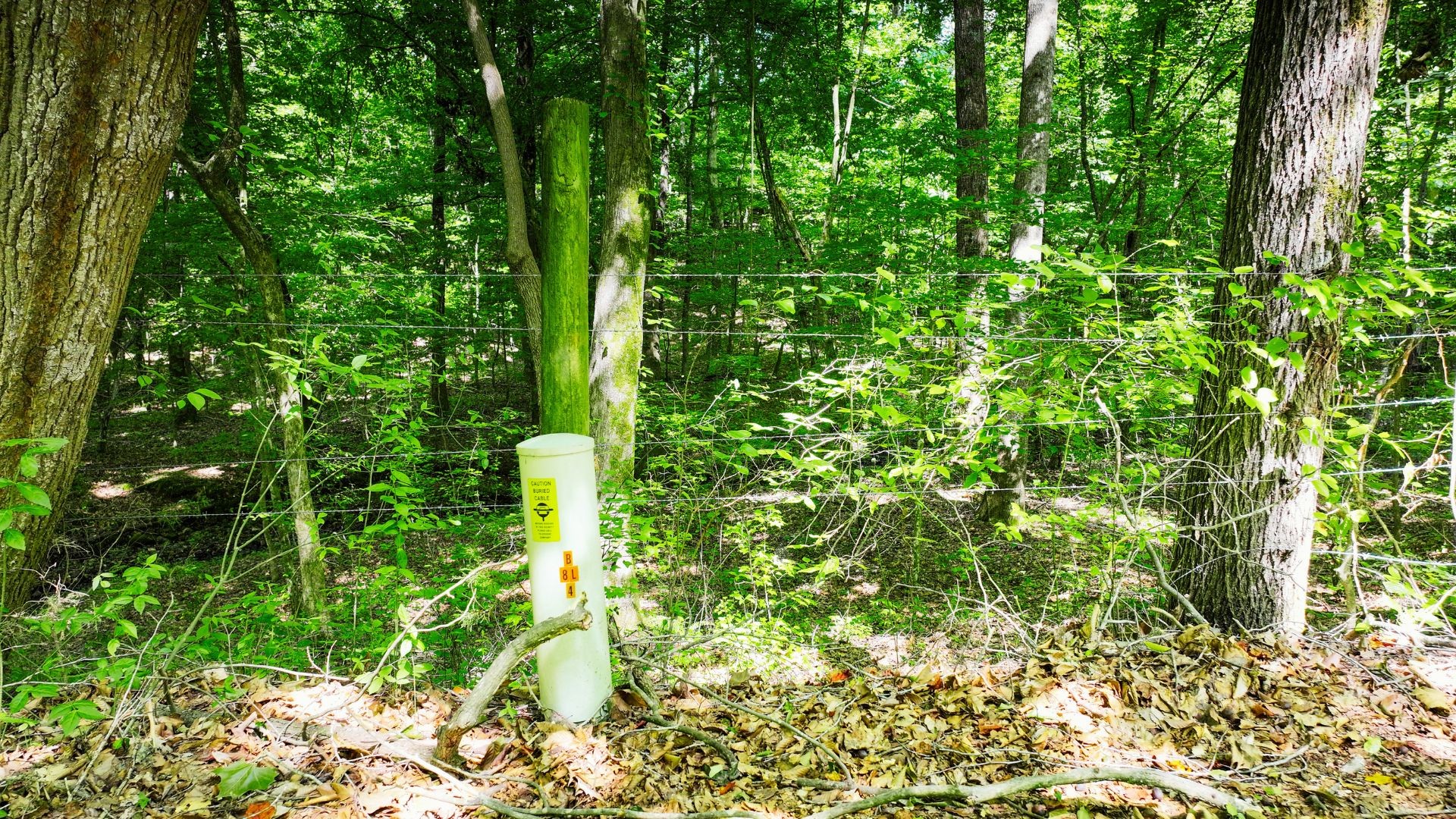 0 Davis Hollow Road Minor Hill, TN 38473 - Photo 10 of 23