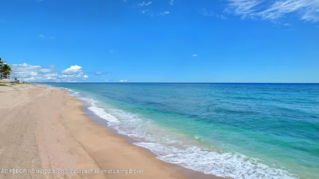a view of a lake from a yard