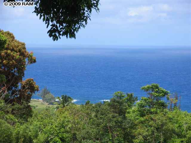 340 Waiohonu Road Hana, HI 96713 - Photo 1 of 6