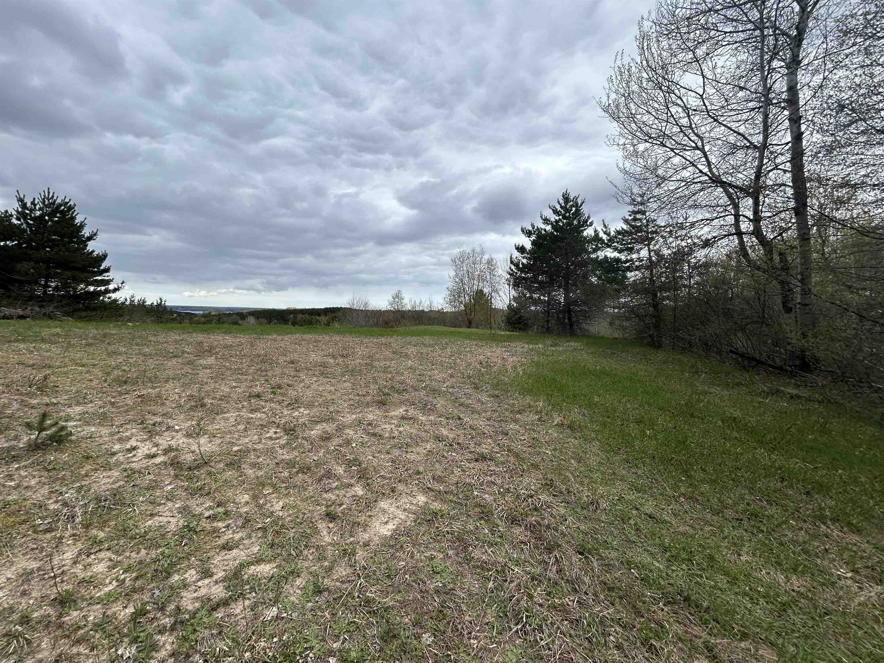 Lots 11-12 Mcpherson Road Alden, MI 49612 - Photo 10 of 12