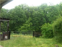 2977 Fire Tower Road Erin, TN 37061 - Photo 13 of 16 Gallery Image 13
