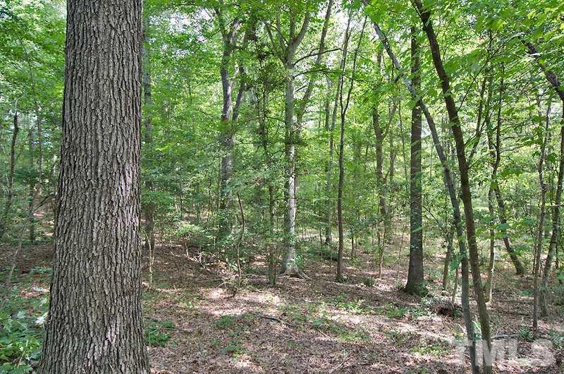 Old Glendon Road Carthage, NC 28327 - Photo 8 of 10