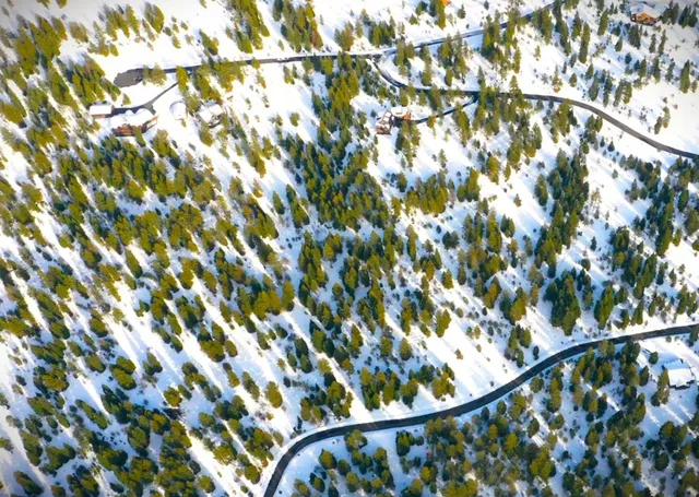 $250,000 | 7 Whitefield Lane, Unit 7, McCall, ID 83638