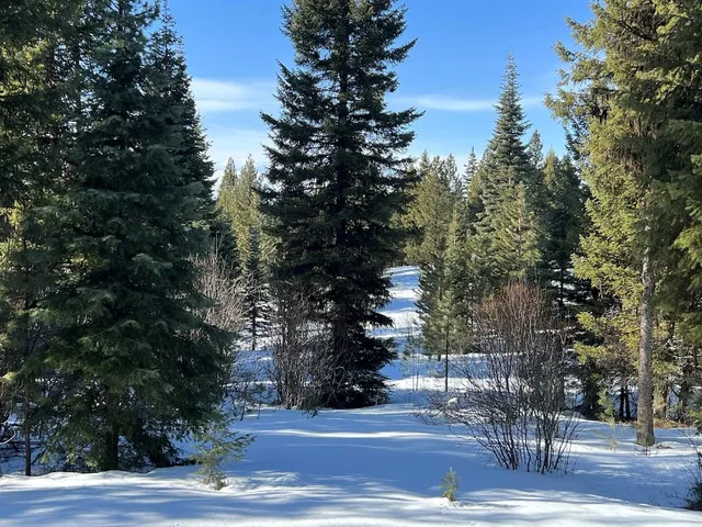 $250,000 | 7 Whitefield Lane, Unit 7, McCall, ID 83638