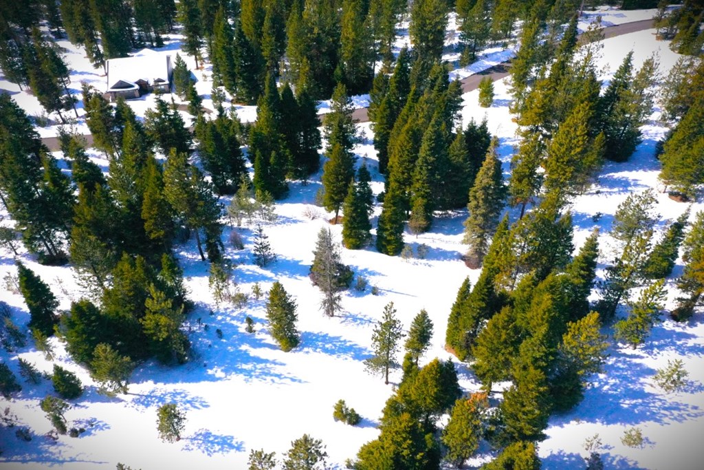 7 Whitefield Lane, Unit 7 McCall, ID 83638 - Photo 17 of 20