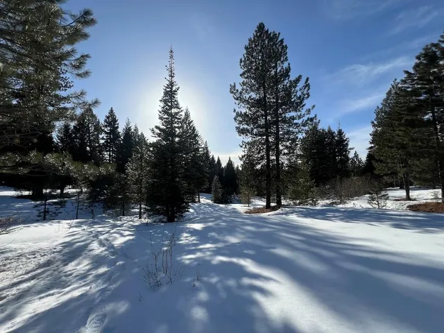 $250,000 | 7 Whitefield Lane, Unit 7, McCall, ID 83638