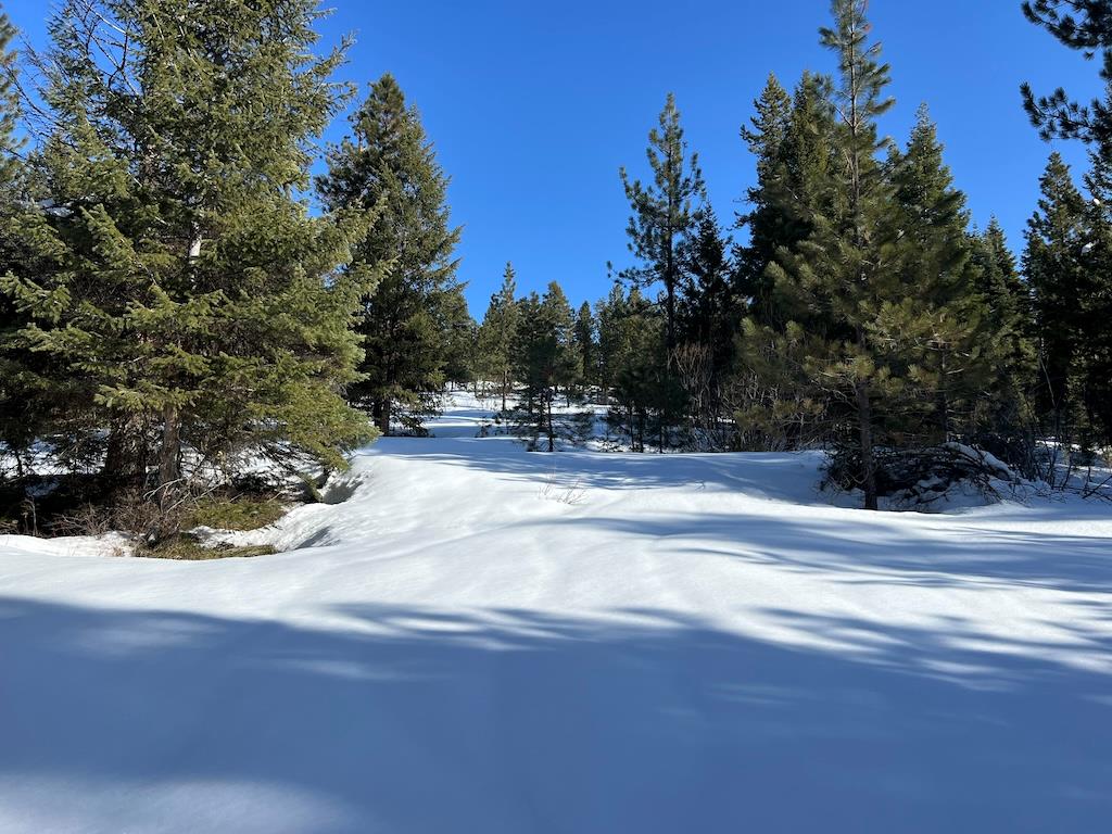 7 Whitefield Lane, Unit 7 McCall, ID 83638 - Photo 3 of 20