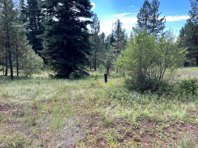 $250,000 | 7 Whitefield Lane, Unit 7, McCall, ID 83638