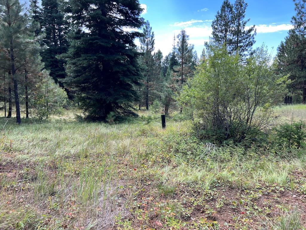 7 Whitefield Lane, Unit 7 McCall, ID 83638 - Photo 5 of 20