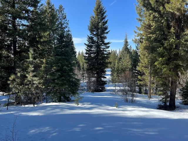 $250,000 | 7 Whitefield Lane, Unit 7, McCall, ID 83638