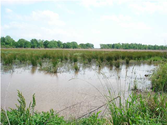 Gerald Road Kaplan, LA 70548 - Photo 1 of 3 Primary Photo