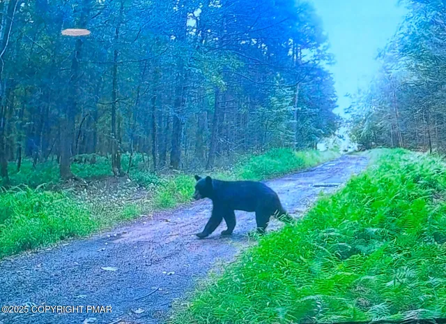 $299,000 | 45052 St Kunkletown, Kunkletown, PA 18058