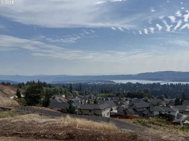 an aerial view of a house with a garden