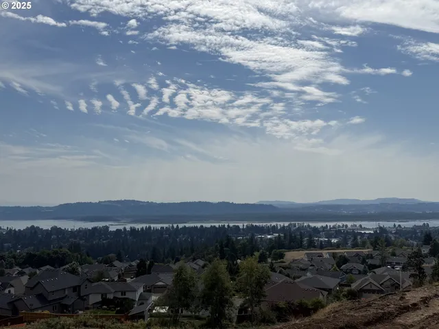 a view of city and mountain