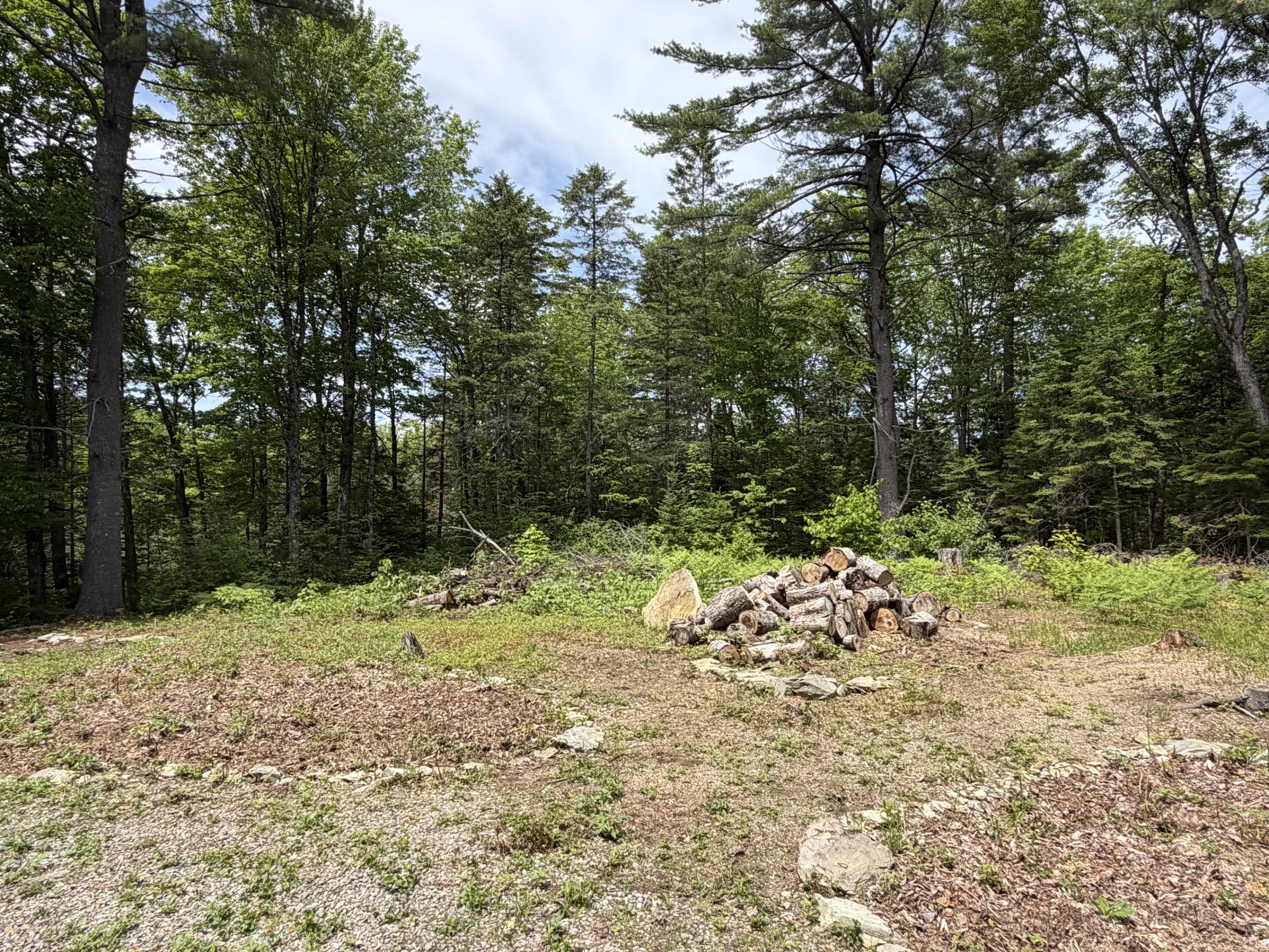 194 Meadow Road Hudson, ME 04449 - Photo 8 of 21 8