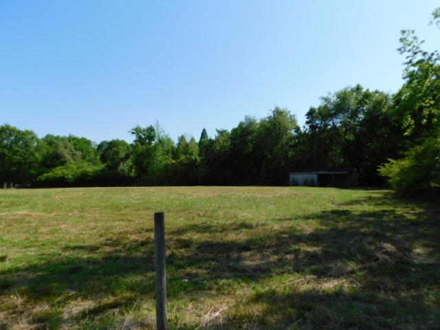 783 Jones Bridge Road Pinetown, NC 27865 - Photo 13 of 15 DSCN4708