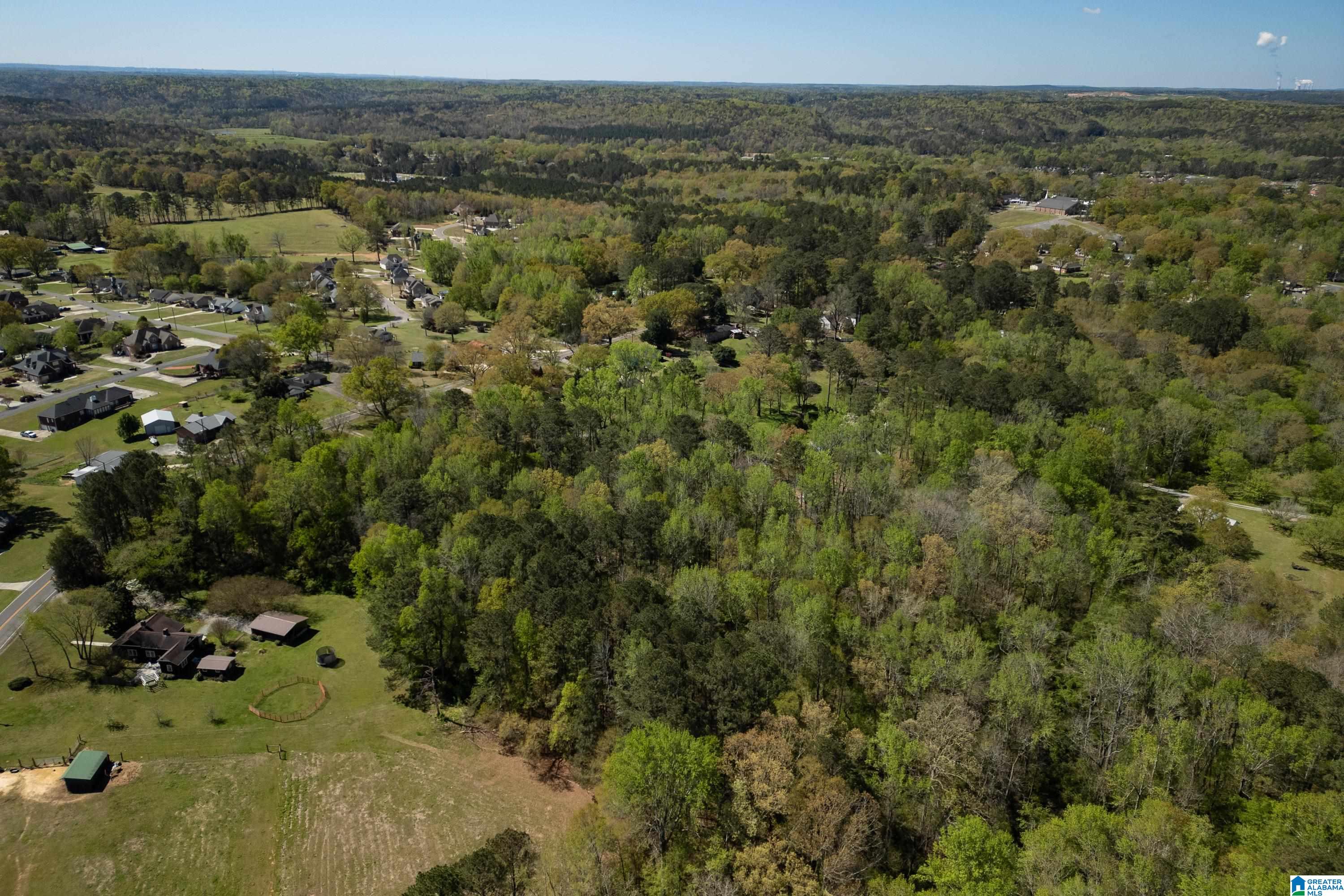 1044 Morris Majestic Road Morris, AL 35116 - Photo 10 of 13
