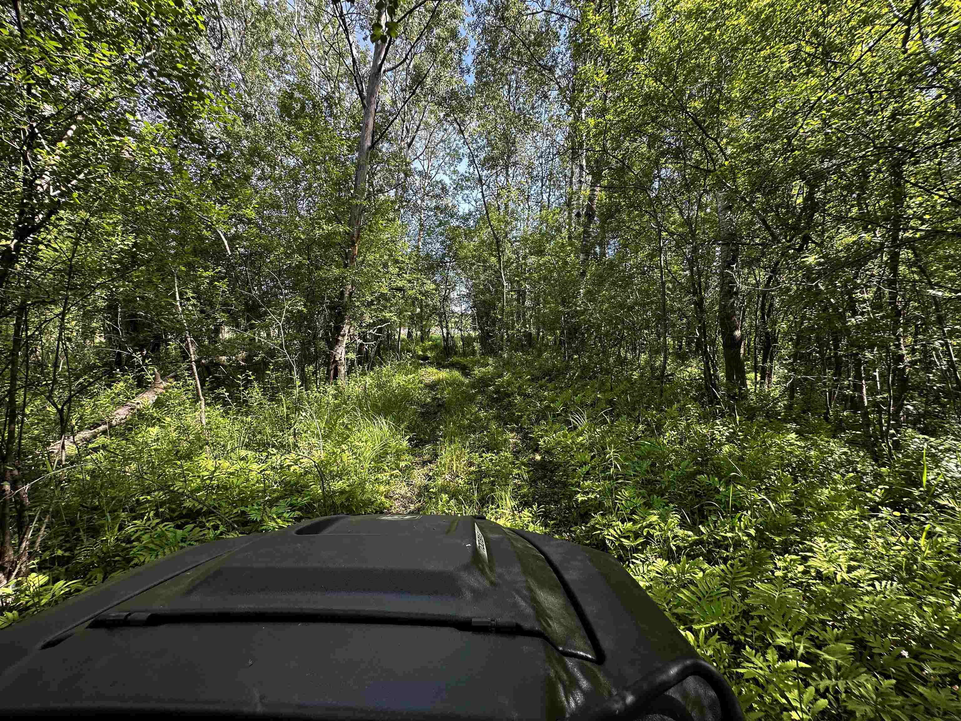 W271 Highway 23 Ripon, WI 54971 - Photo 78 of 88