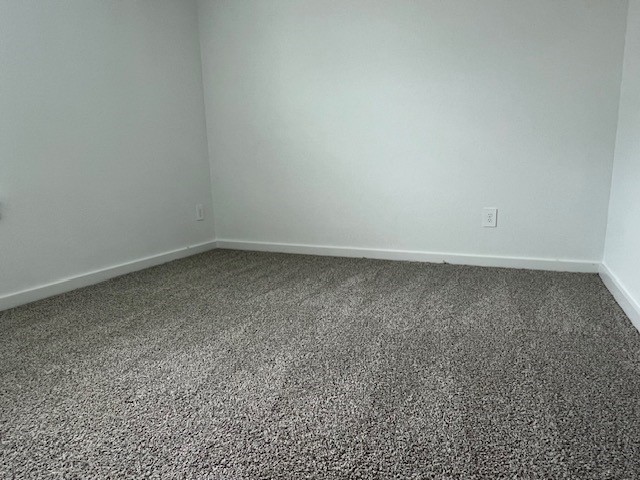 1006 Perezia Court Rosharon, TX 77583 - Photo 15 of 21 Room 3