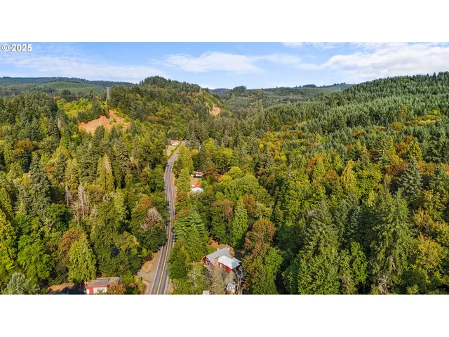 a black and white photo of a green field