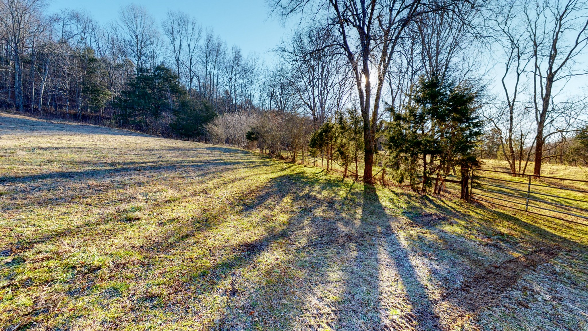 0 Pierce Hollow Road Belvidere, TN 37306 - Photo 14 of 35 a view of a yard with plants and trees