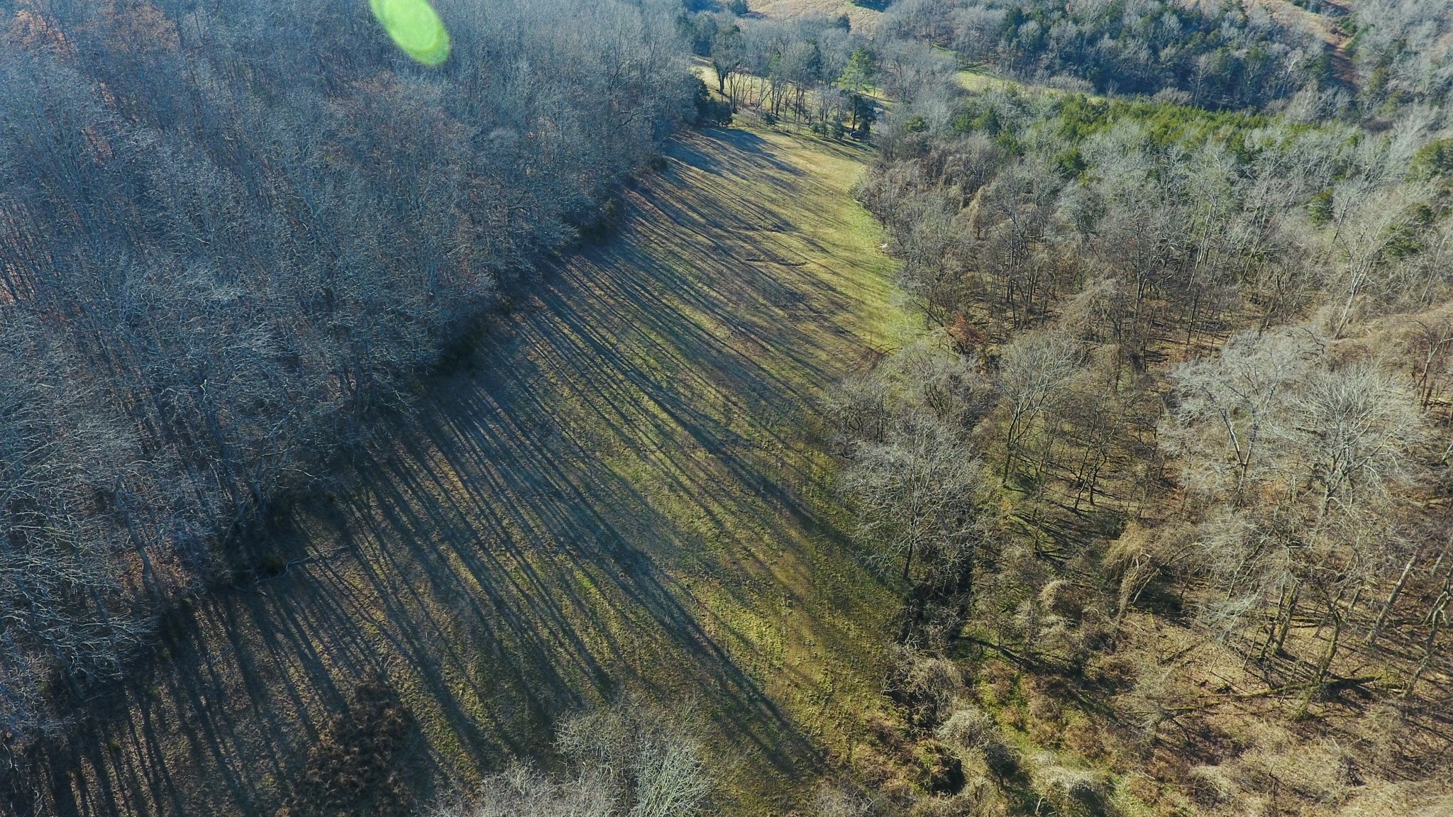 0 Pierce Hollow Road Belvidere, TN 37306 - Photo 22 of 35 a view of a dry yard with wooden fence