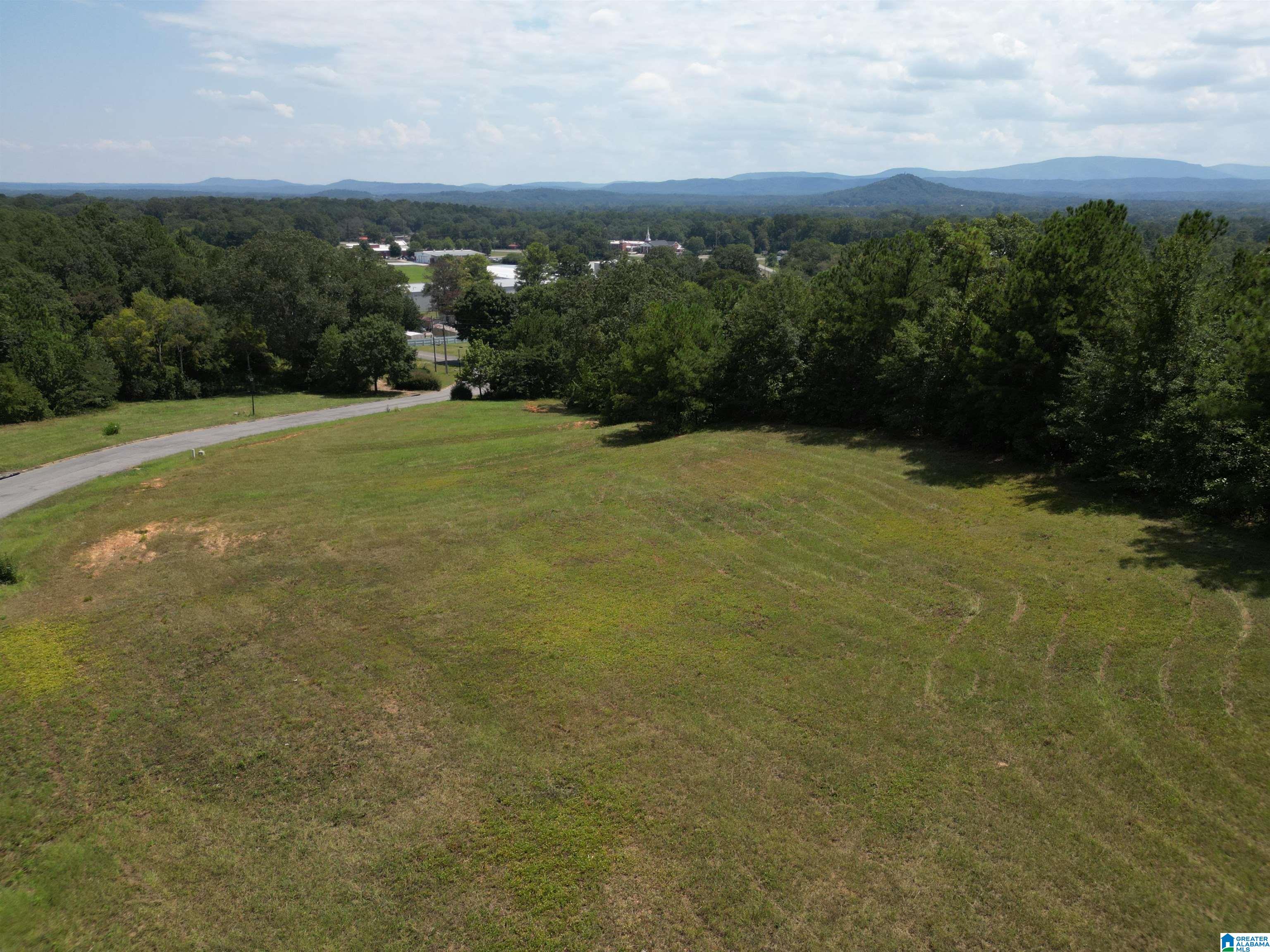 142 Mountain Ridge Road Oxford, AL 36203 - Photo 59 of 63