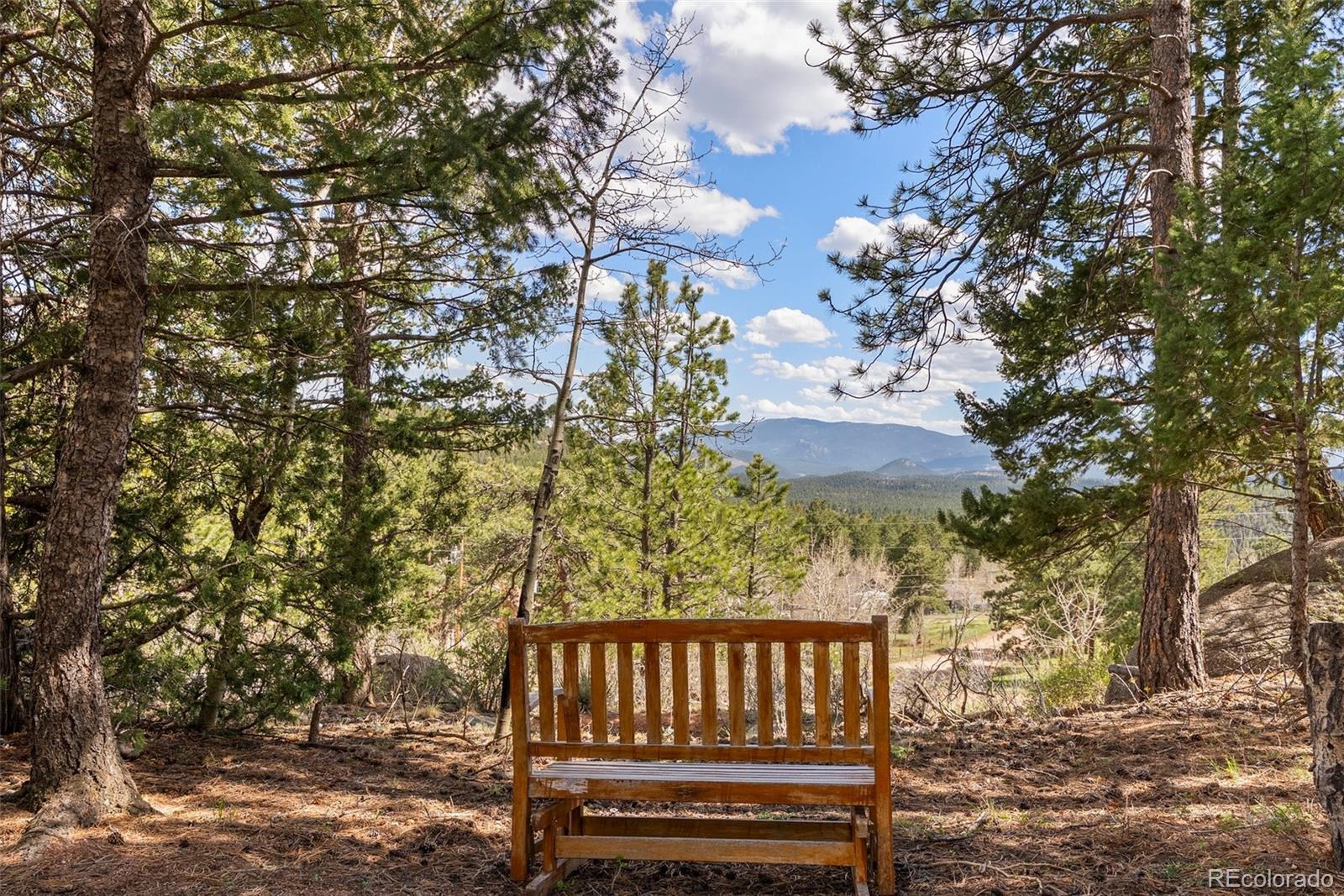 29 Cedar Lane Bailey, CO 80421 - Photo 35 of 46 a view of a bench in a yard
