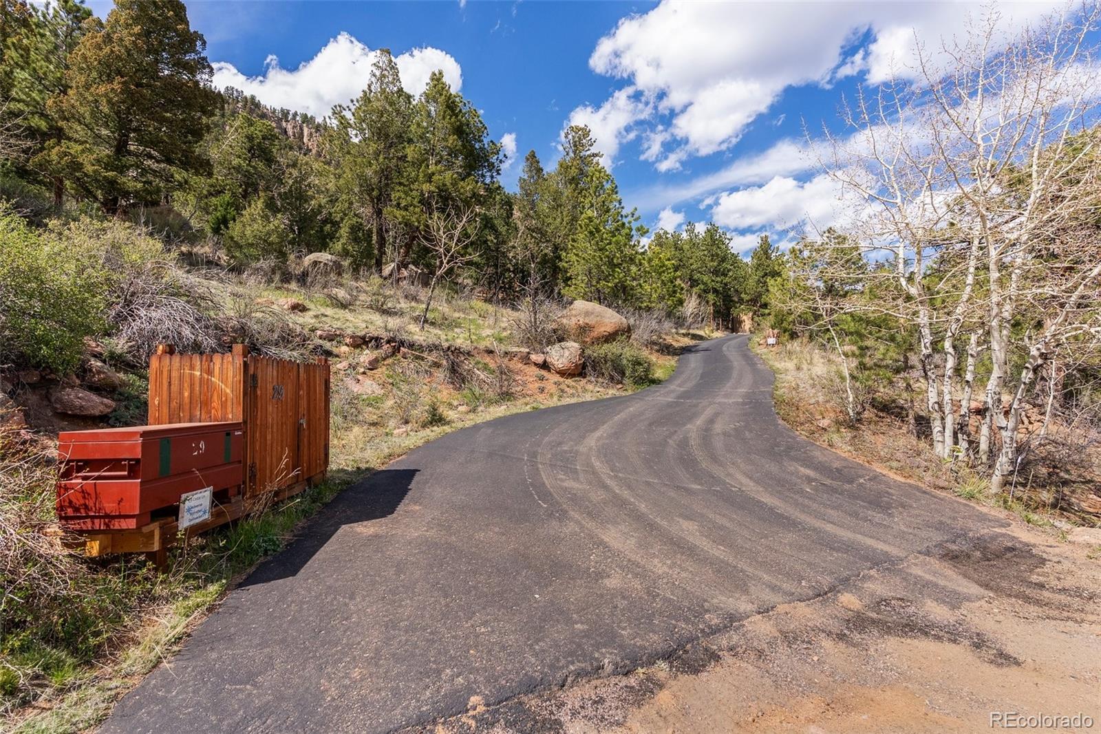 29 Cedar Lane Bailey, CO 80421 - Photo 37 of 46 a view of a yard with an trees