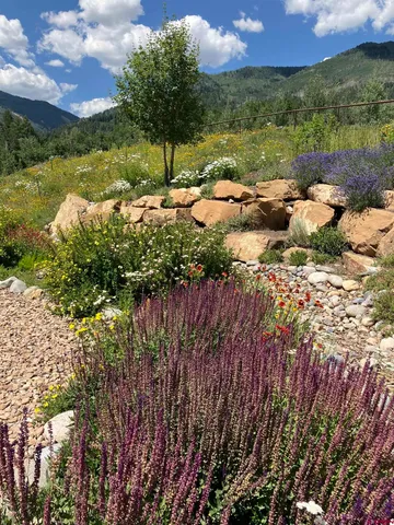 a view of a lake with a yard