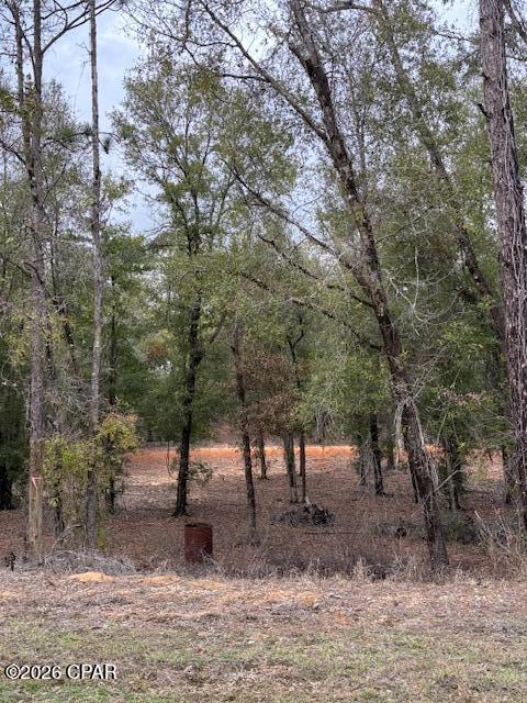 2816 Territory Road Chipley, FL 32428 - Photo 9 of 13