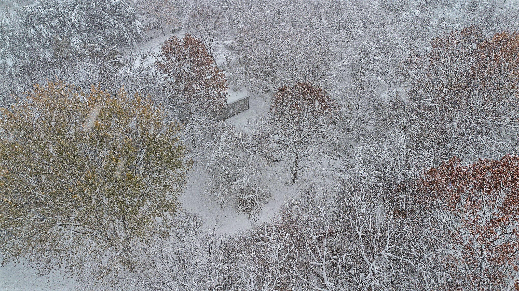 1230 Thomson Road Niles, MI 49120 - Photo 39 of 44 030_file_30