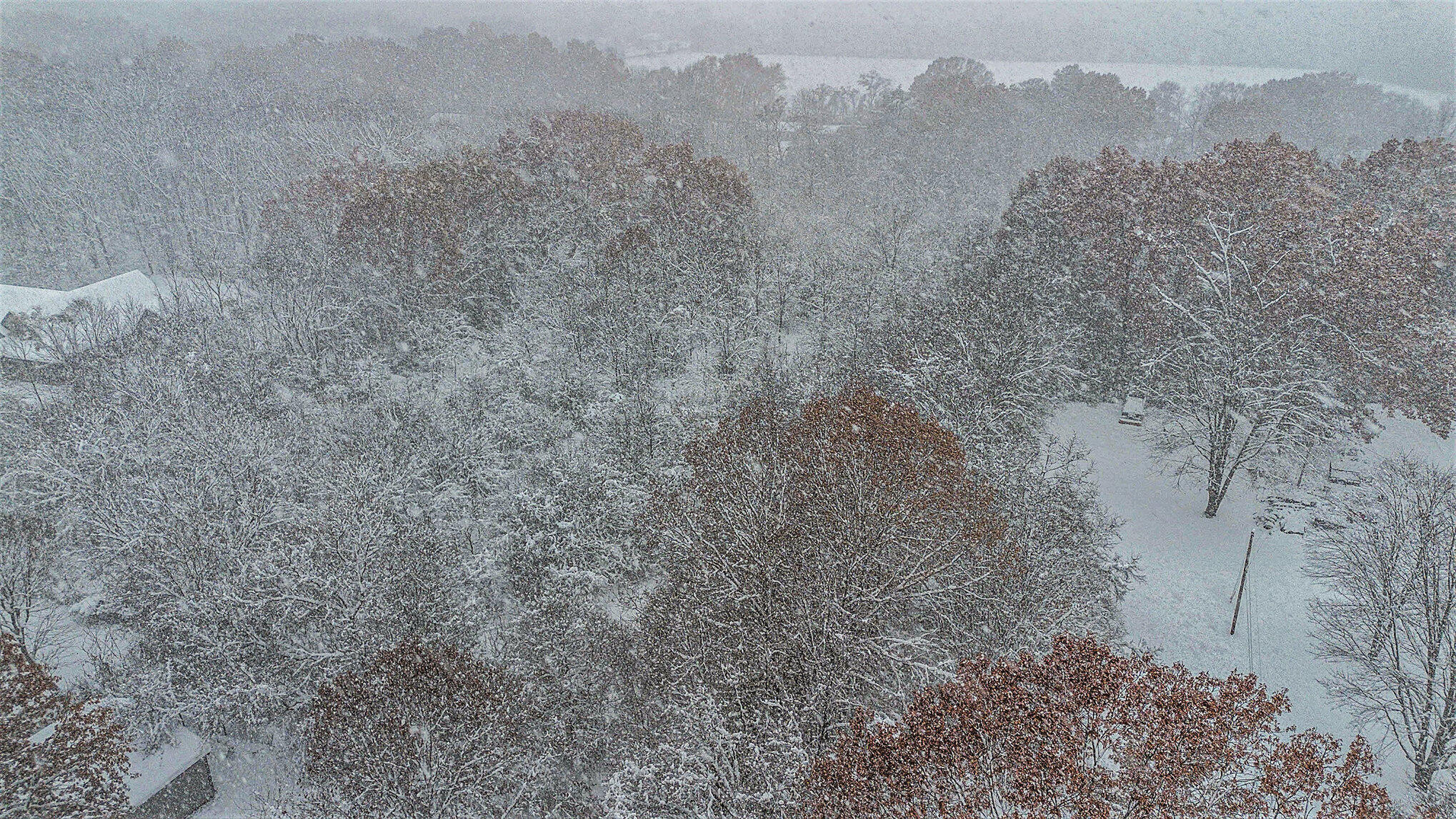 1230 Thomson Road Niles, MI 49120 - Photo 40 of 44 031_file_499