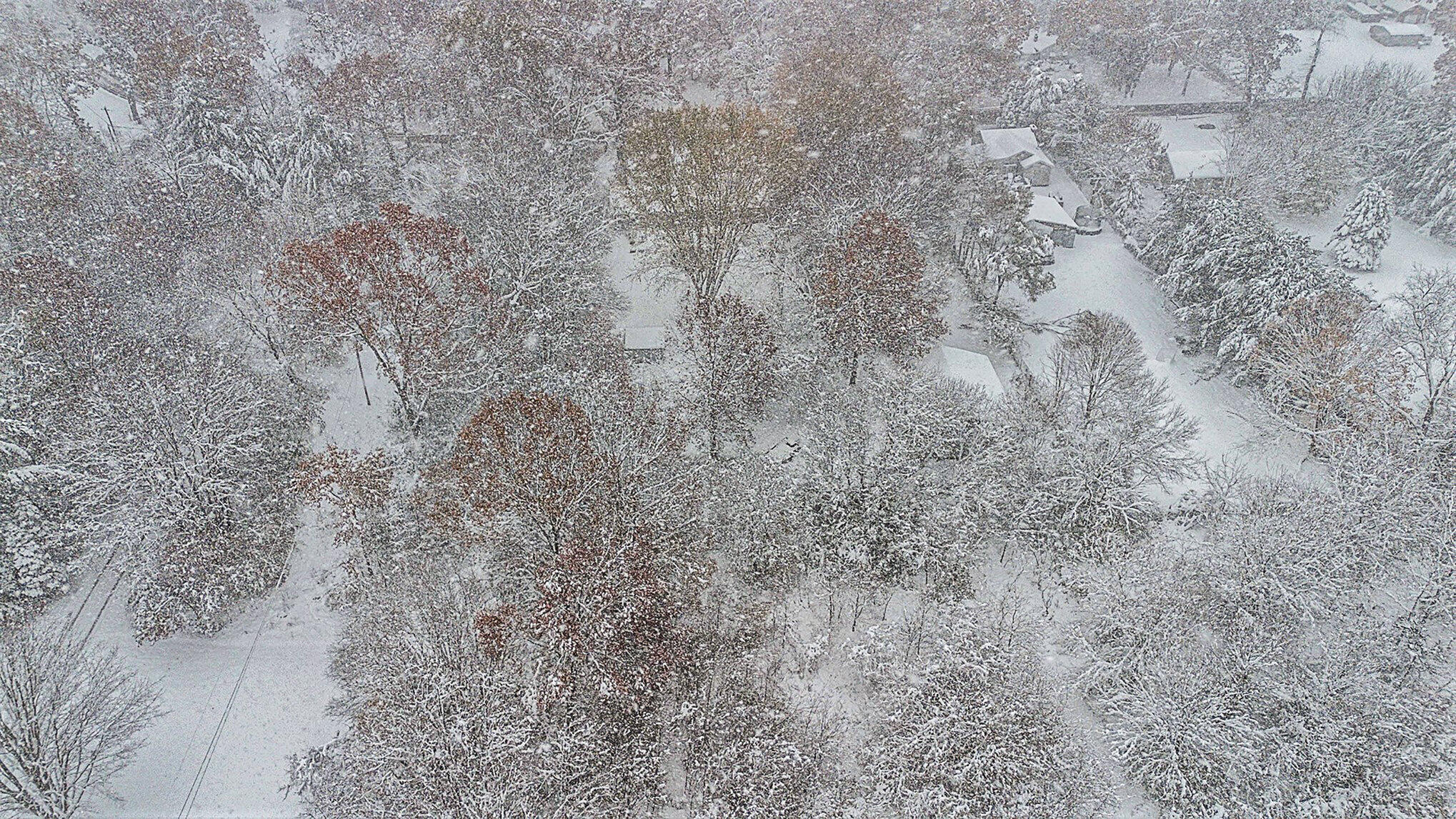 1230 Thomson Road Niles, MI 49120 - Photo 44 of 44 035_file_500