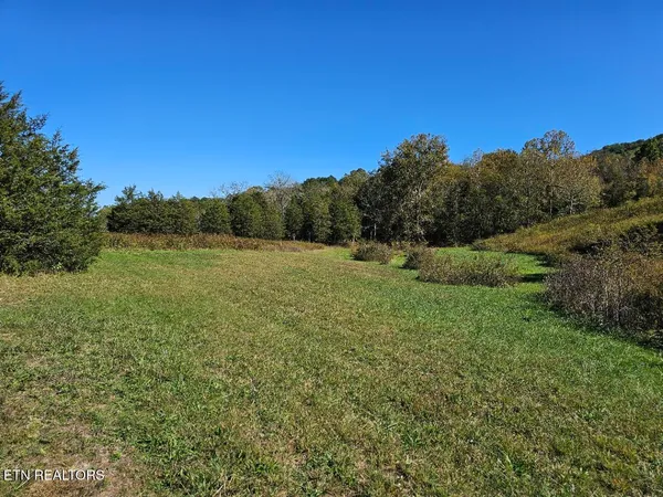 $245,000 | Shoreline Vista, Sharps Chapel, TN 37866